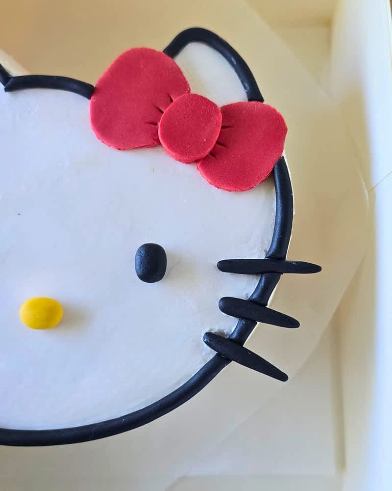 Gâteau Cygne (1)